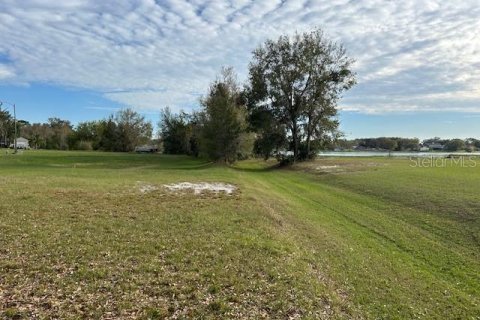 Land in Lakeland, Florida № 2275759 - photo 3