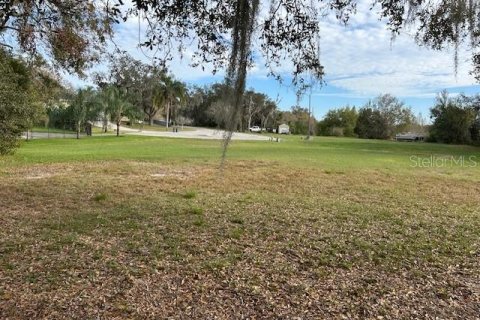 Land in Lakeland, Florida № 2275759 - photo 4