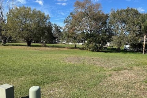 Land in Lakeland, Florida № 2275759
