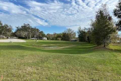 Land in Lakeland, Florida № 2275759 - photo 5
