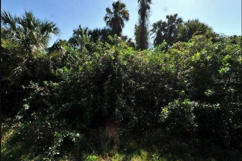 Land in North Port, Florida № 2163494 - photo 2