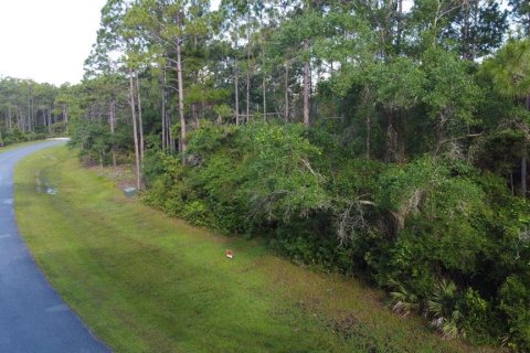Terrain à vendre à Eastpoint, Floride № 1687554 - photo 3