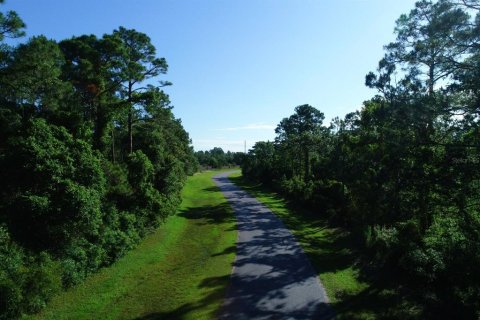 Terrain à vendre à Eastpoint, Floride № 1687554 - photo 6