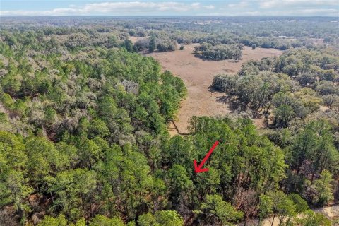 Terrain à vendre à Ocala, Floride № 2235279 - photo 6