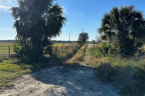 Terrain à Okeechobee, Floride № 2427523