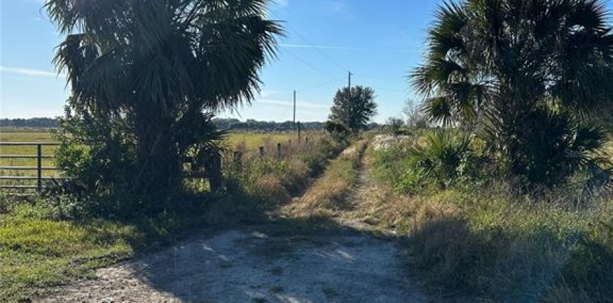 Terrain à Okeechobee, Floride № 2427523