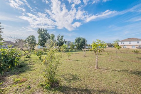 Land in Kissimmee, Florida № 2393566