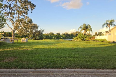 Land in Holiday, Florida № 1915123 - photo 1