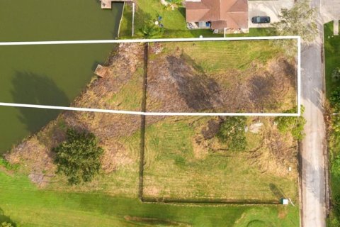 Land in Holiday, Florida № 1915123 - photo 3