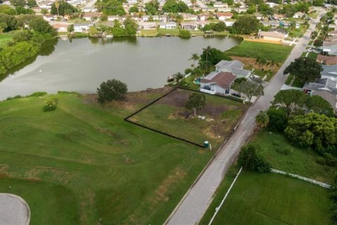 Land in Holiday, Florida № 1915123 - photo 7