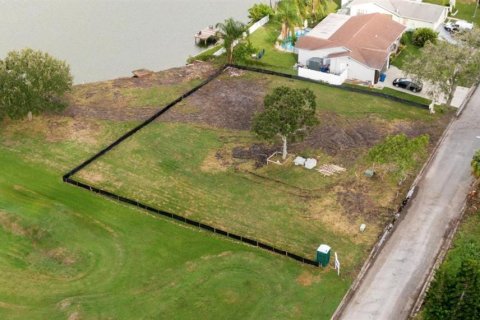 Land in Holiday, Florida № 1915123 - photo 8
