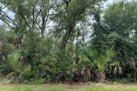 Terreno en venta en Port Charlotte, Florida № 2199594 - foto 3