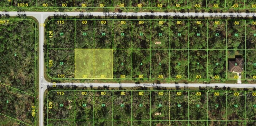 Terreno en Port Charlotte, Florida № 2199594