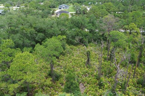 Terreno en venta en Port Charlotte, Florida № 2199594 - foto 4