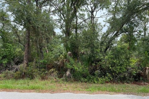 Terreno en venta en Port Charlotte, Florida № 2199594 - foto 2