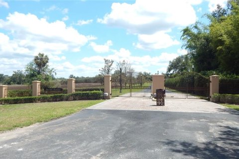 Terreno en venta en Zephyrhills, Florida № 1690135 - foto 1