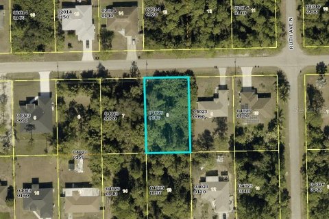 Land in Lehigh Acres, Florida № 2162246 - photo 4
