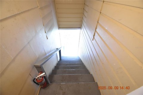 Studio in Clearwater, Florida № 1902887 - photo 7