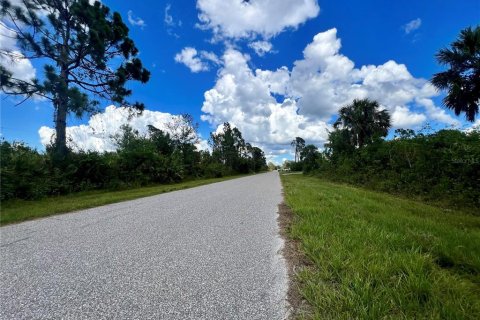 Land in Port Charlotte, Florida № 2159948 - photo 3