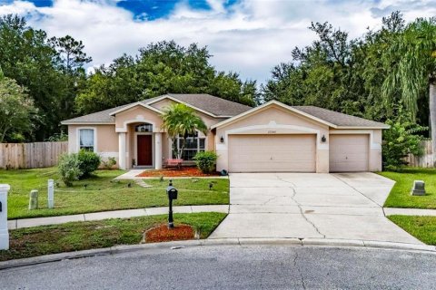 Villa ou maison à vendre à Lutz, Floride: 4 chambres, 205.04 m2 № 2356070 - photo 2