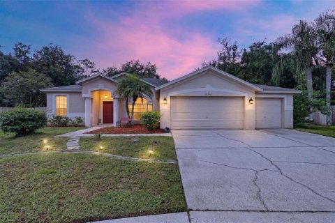 House in Lutz, Florida 4 bedrooms, 205.04 sq.m. № 2356070