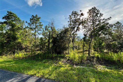 Land in Dunnellon, Florida № 2228023