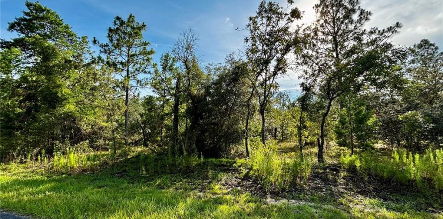 Terrain à Dunnellon, Floride № 2228023