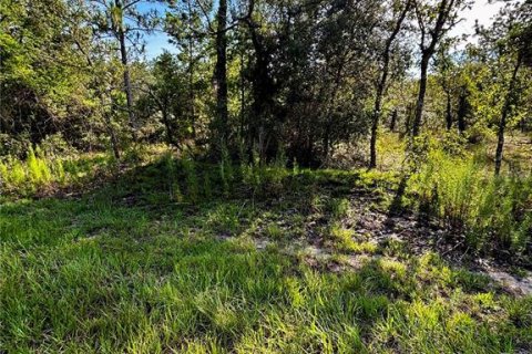 Terrain à vendre à Dunnellon, Floride № 2228023 - photo 2
