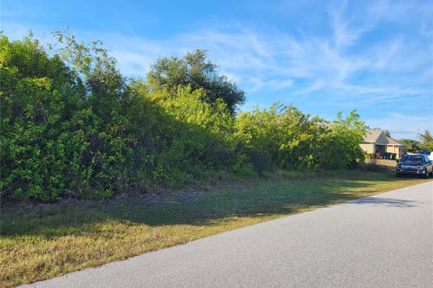Land in Port Charlotte, Florida № 2162827 - photo 3