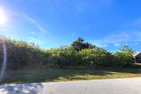 Land in Port Charlotte, Florida № 2162827 - photo 4