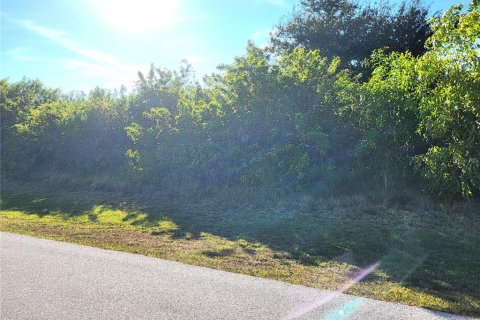 Land in Port Charlotte, Florida № 2162827 - photo 5