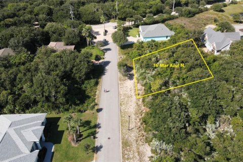 Land in Ponce Inlet, Florida № 1380883 - photo 2