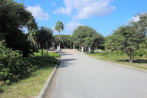 Land in Ponce Inlet, Florida № 1380883 - photo 3