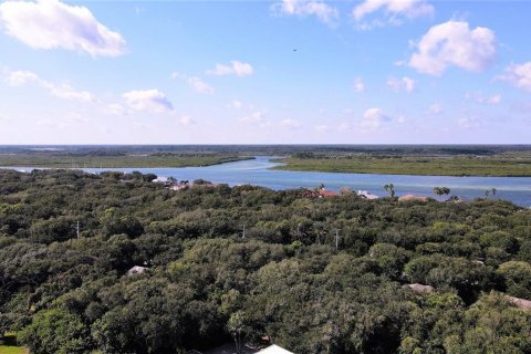 Land in Ponce Inlet, Florida № 1380883 - photo 4