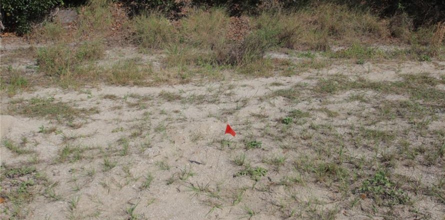 Land in Ponce Inlet, Florida № 1380883