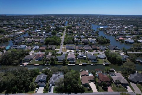 Terreno en venta en Palm Coast, Florida № 1724225 - foto 8