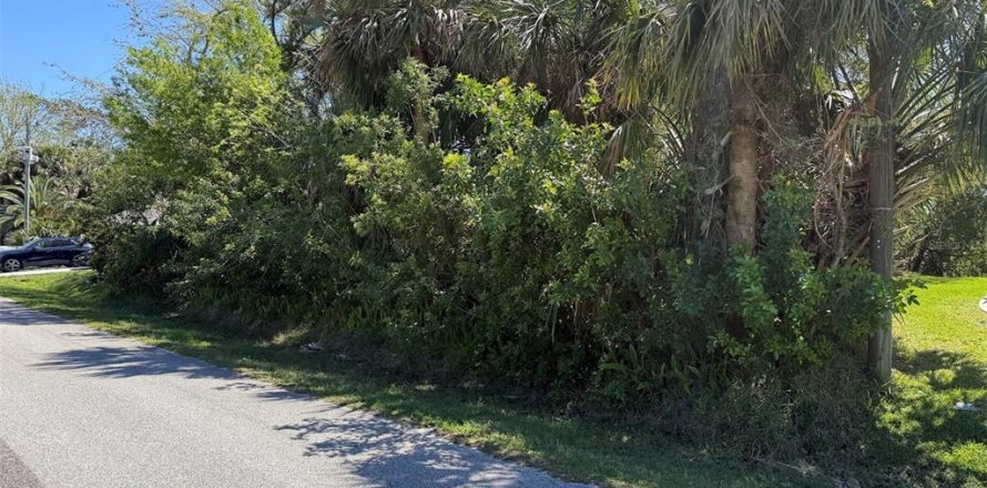 Terreno en Palm Coast, Florida № 1724225