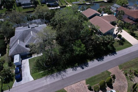 Terreno en venta en Palm Coast, Florida № 1724225 - foto 5