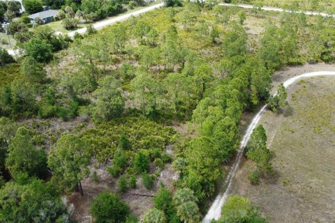 Terreno en venta en Punta Gorda, Florida № 2205914 - foto 3