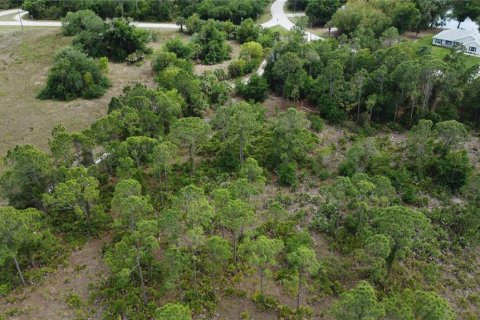 Terreno en venta en Punta Gorda, Florida № 2205914 - foto 6