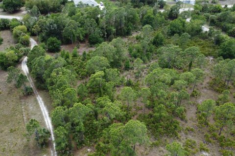 Terreno en venta en Punta Gorda, Florida № 2205914 - foto 5
