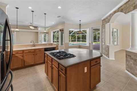 Villa ou maison à vendre à Wesley Chapel, Floride: 4 chambres, 266.26 m2 № 2093869 - photo 9