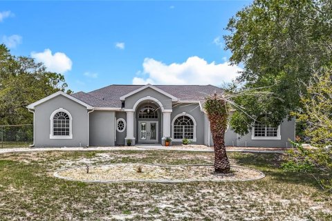 Casa en venta en Weeki Wachee, Florida, 4 dormitorios, 323.86 m2 № 1826230 - foto 1