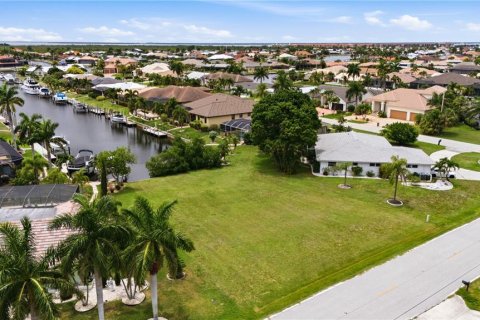 Terrain à Punta Gorda, Floride № 2129870