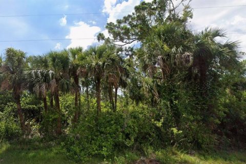 Land in Port Charlotte, Florida № 2213734 - photo 2