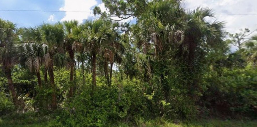 Land in Port Charlotte, Florida № 2213734