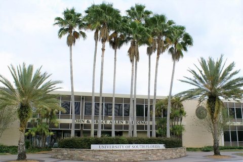 Condo in Tampa, Florida, 2 bedrooms  № 1773721 - photo 24