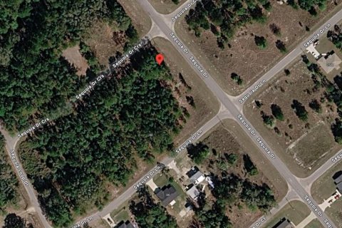Terreno en venta en Ocklawaha, Florida № 2215908 - foto 13