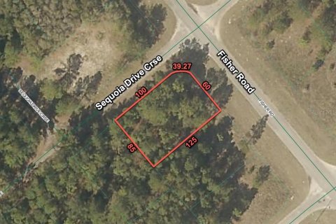 Terreno en venta en Ocklawaha, Florida № 2215908 - foto 2