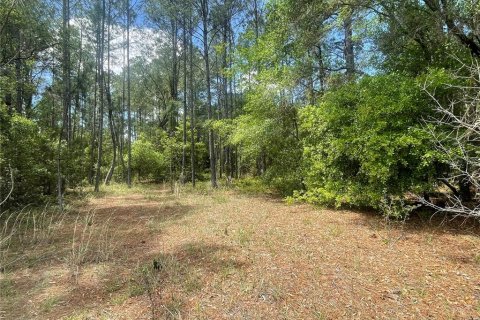 Terreno en venta en Ocklawaha, Florida № 2215908 - foto 12